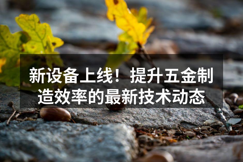 新设备提升生产效率